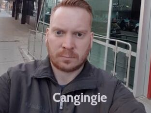 Cangingie