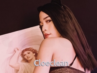 Cloeclean