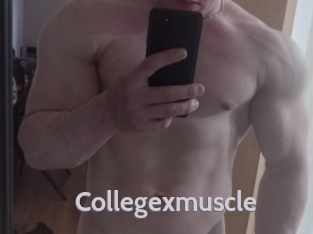 Collegexmuscle