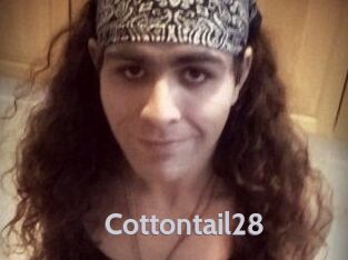 Cottontail28