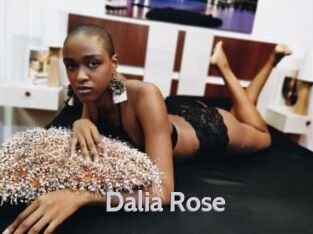 Dalia_Rose