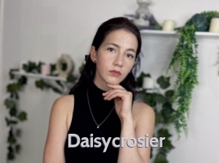 Daisycrosier