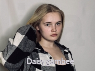 Daisygambee