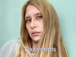 Daisynorris