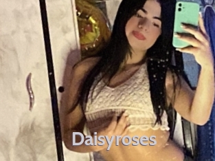 Daisyroses