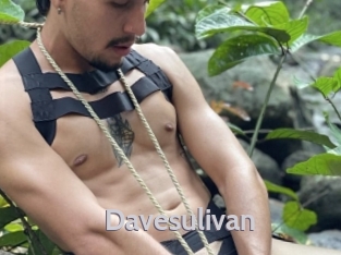 Davesulivan