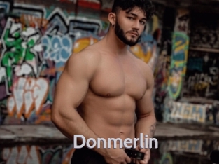 Donmerlin