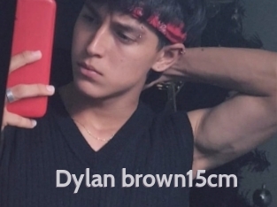 Dylan_brown15cm