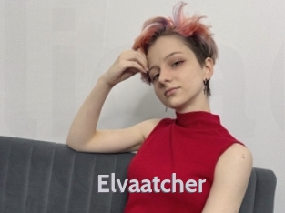 Elvaatcher