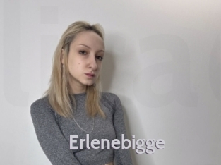 Erlenebigge