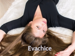 Evachice