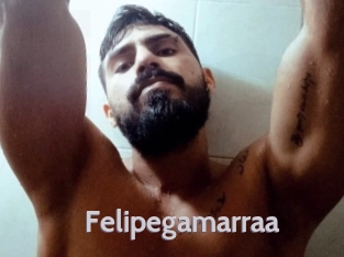 Felipegamarraa