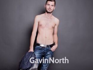 GavinNorth