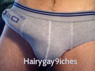 Hairygay9iches