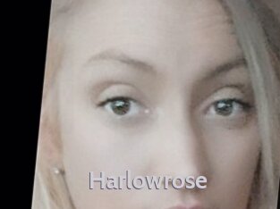 Harlowrose