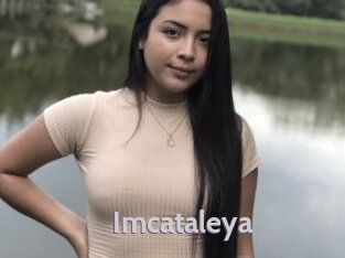 Imcataleya