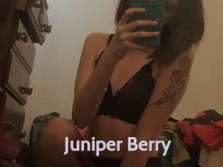 Juniper_Berry