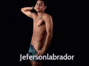 Jefersonlabrador