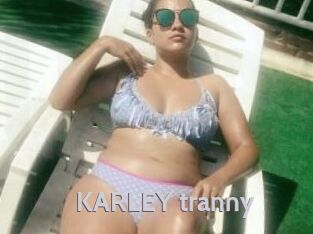 KARLEY_tranny