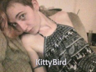 KittyBird