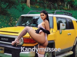 Kandymussee