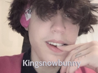 Kingsnowbunny