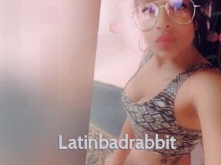 Latinbadrabbit