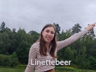 Linettebeer