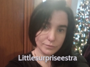 Littlesurpriseestra