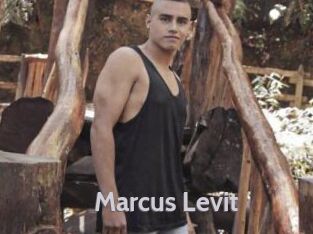 Marcus_Levit