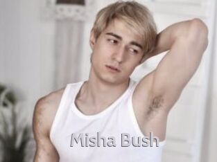 Misha_Bush