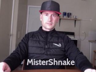 MisterShnake