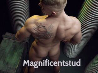 Magnificentstud