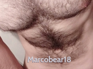 Marcobear18