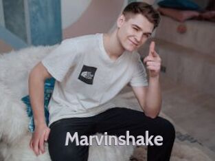 Marvinshake