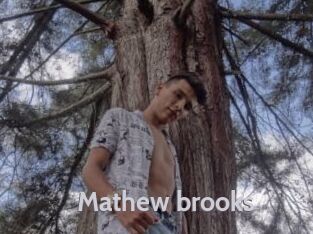 Mathew_brooks