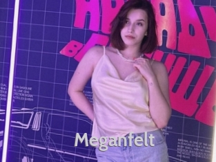 Meganfelt