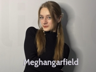 Meghangarfield