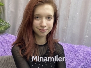 Minamiler