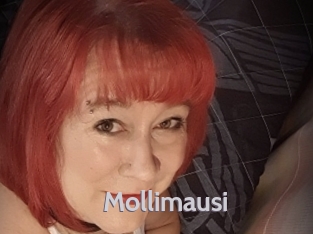 Mollimausi