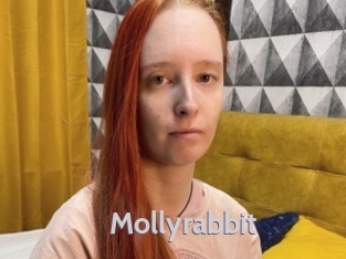 Mollyrabbit