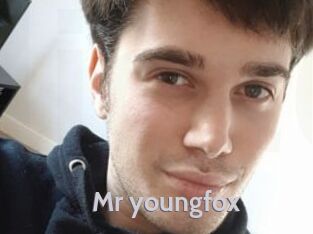 Mr_youngfox