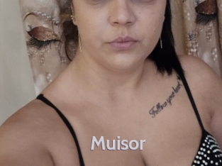 Muisor