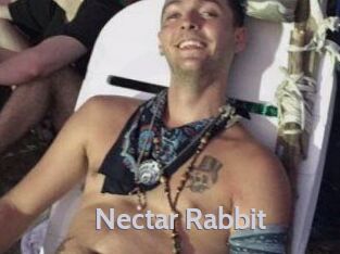 Nectar_Rabbit