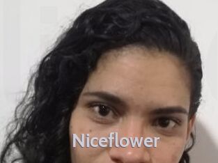 Nice_flower