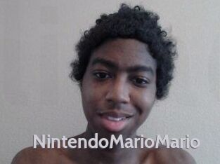 NintendoMarioMario