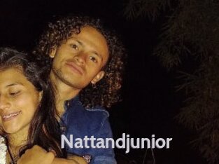 Nattandjunior