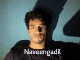 Naveengadil