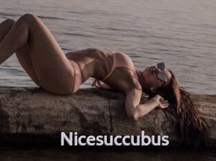 Nicesuccubus