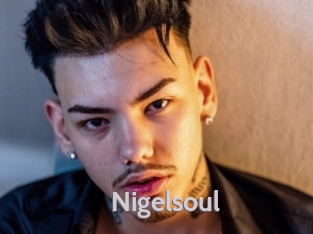 Nigelsoul